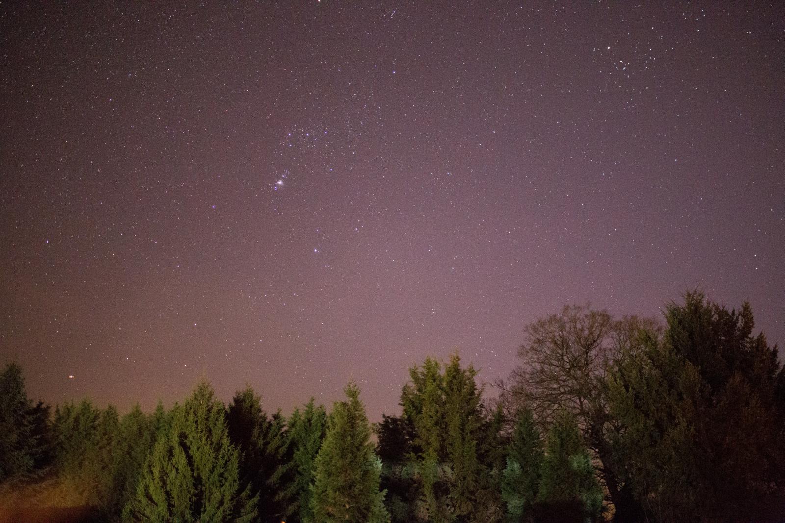 30 im Schloss - 301.jpg